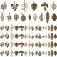 PH PandaHall 150pcs 15 Styles Tree Leaf Charms Pendants, Tibetan Branch Leaves Charms Metal Alloy Leaf Beads Antique Bronze Dangle Charm for Fall Earring Bracelet Necklace...
